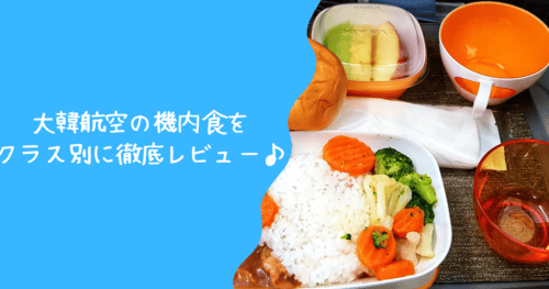 【2025年版】大韓航空の機内食は超絶品！エコノミークラス・ビジネスクラス別に解説