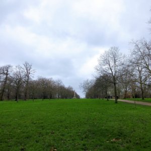 ホテル近くにあるハイドパーク