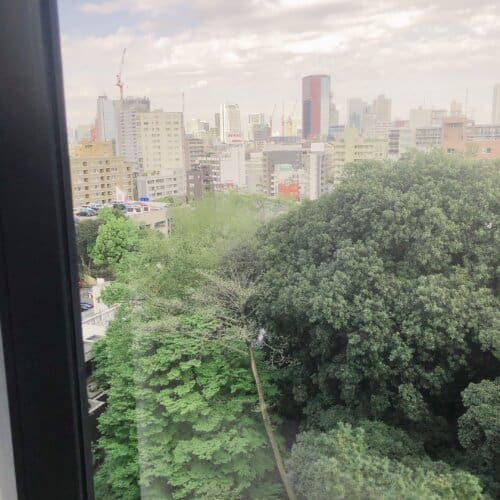 お部屋からの眺望