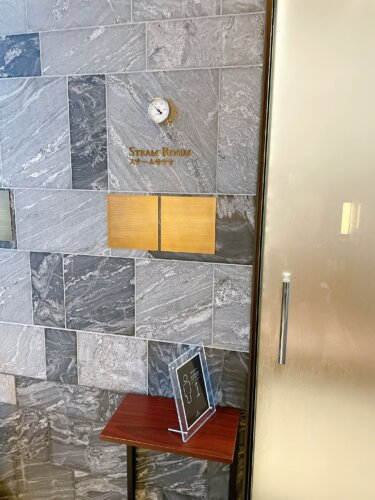 スチームサウナ