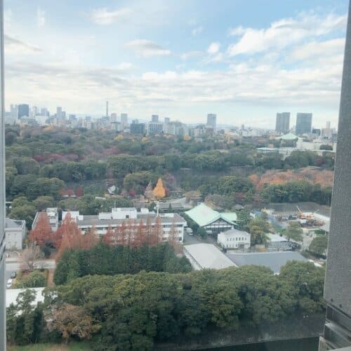 お部屋から眺める皇居ビュー