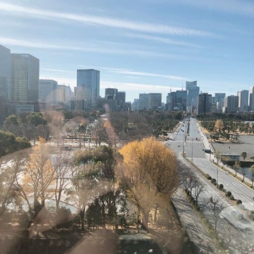 プールサイドからの景色