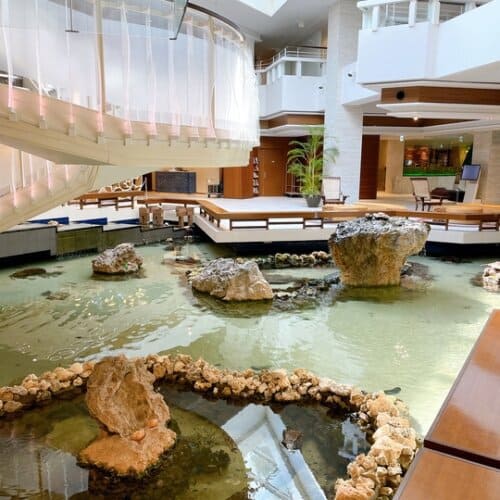 魚が泳いでるコーナー