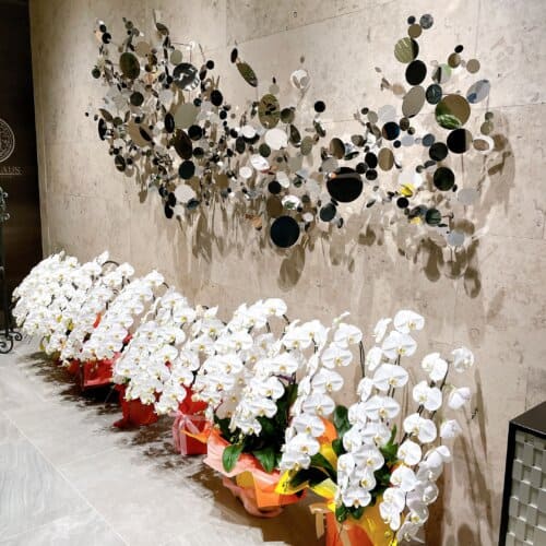 開業記念に飾られていた胡蝶蘭