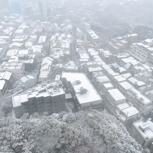 4年振りの積雪
