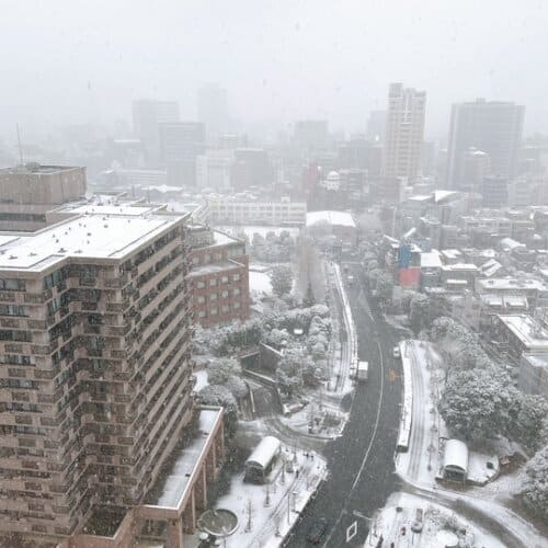 ウェスティンクラブから眺める雪景色