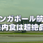 【2025年版】シンガポール航空の機内食は超絶品！エコノミー・ビジネスクラス別に徹底レビュー！