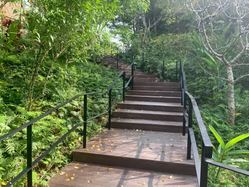 森林の中の様子