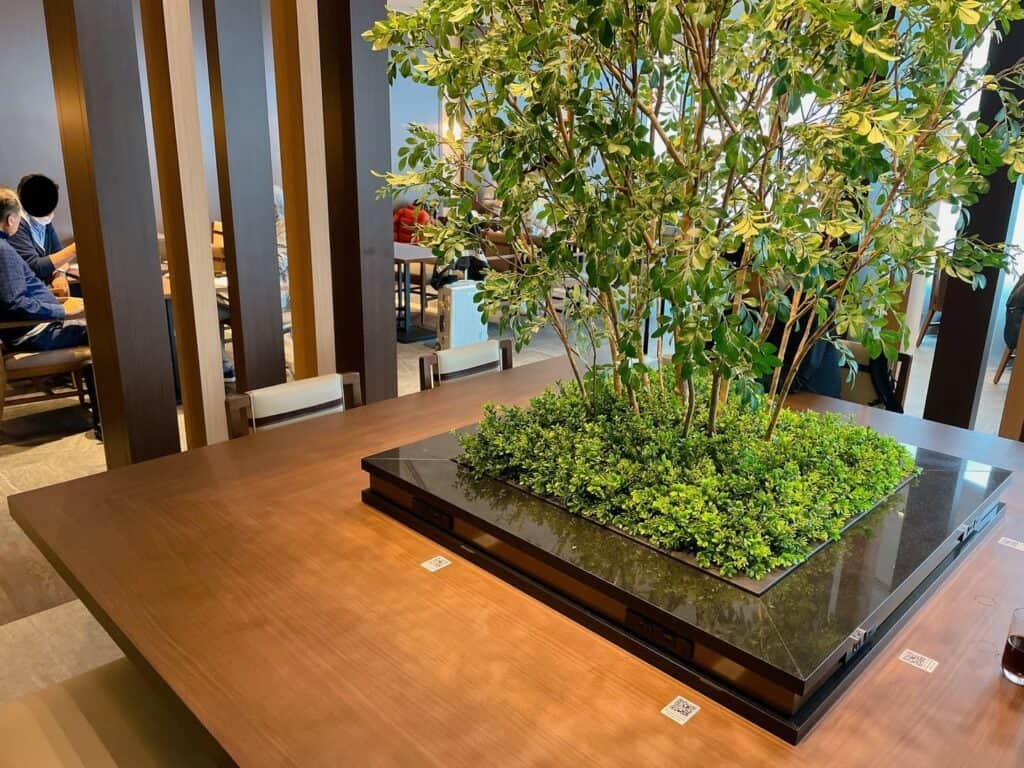 観葉植物