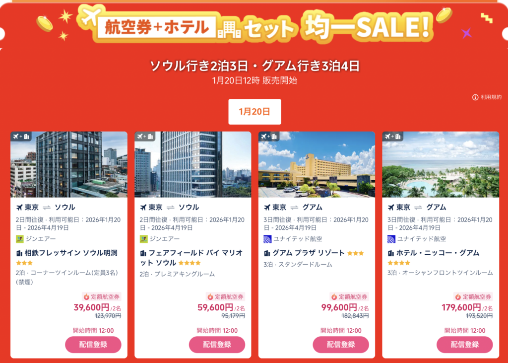 定額パッケージツアーの詳細