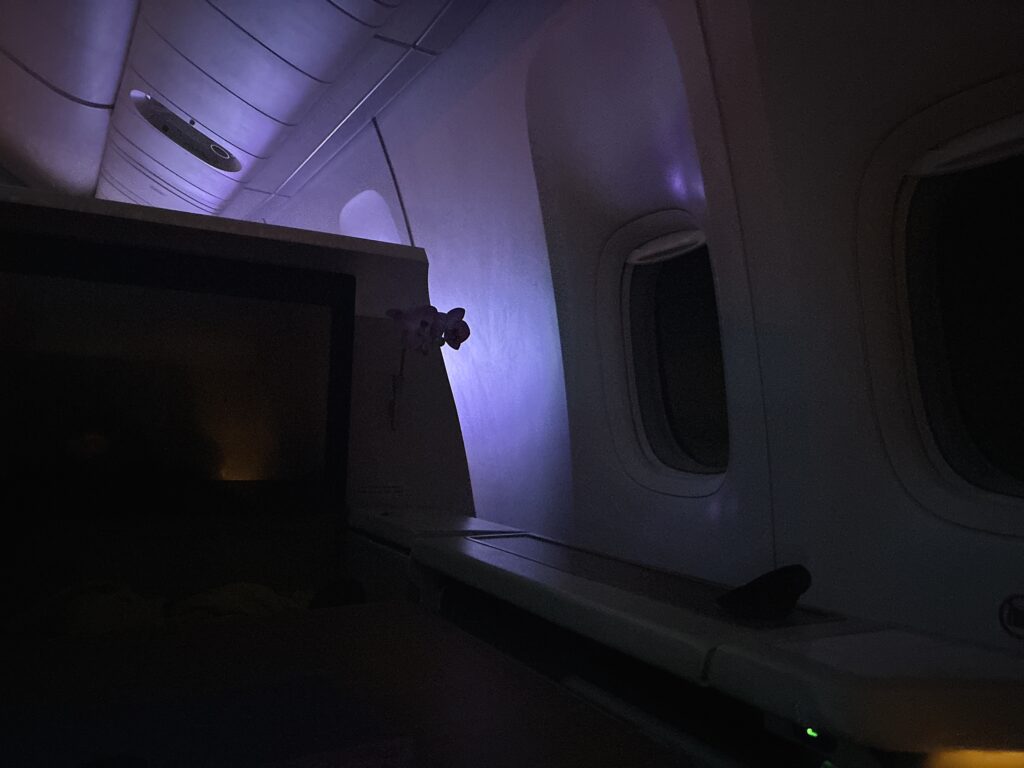 タイ航空のファーストクラスで一休みしている様子